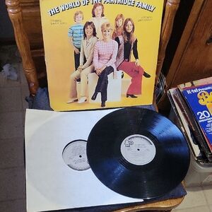 Rare~ 1974~The Partridge Family Vinyl Record